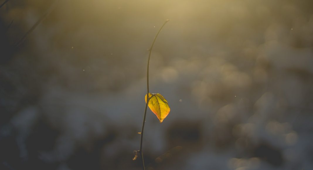 Evo zbog čega možemo biti radosni u našim nevoljama