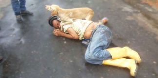 Pas štiti pijanog vlasnika koji se srušio na ulici