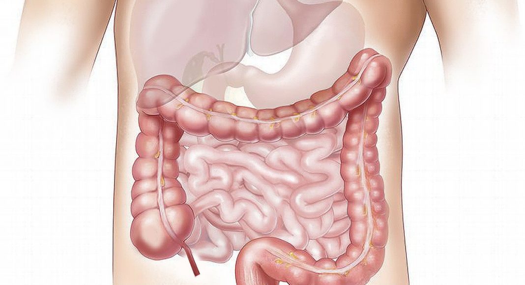 6 načina kako svoje debelo crijevo možete održati zdravim