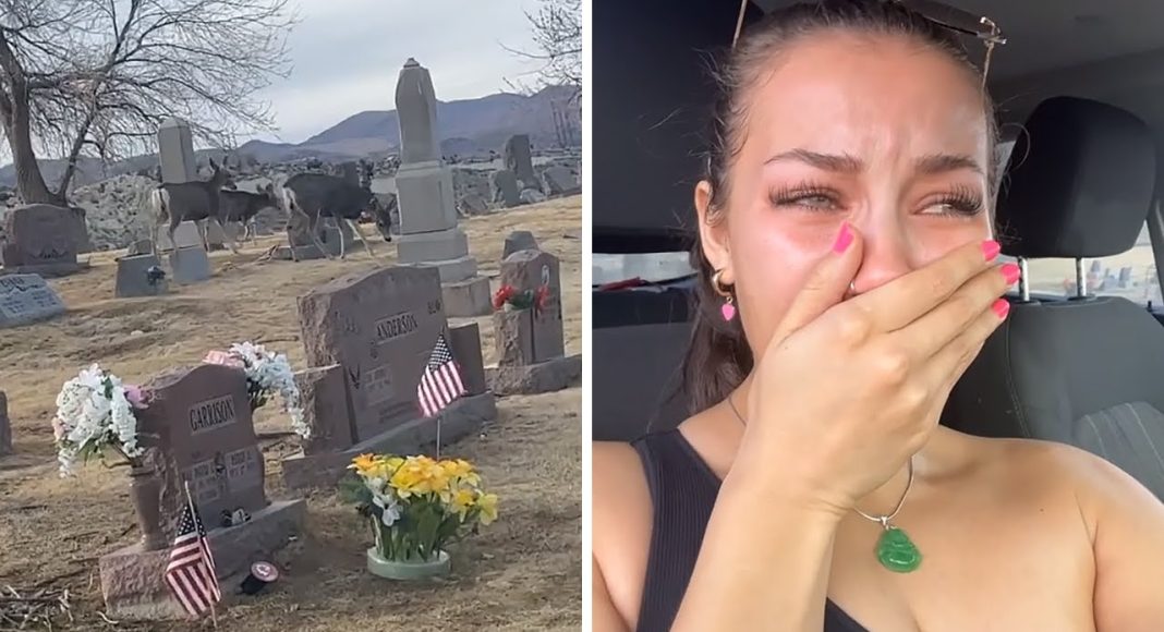 Woman receives emotional sign at her boyfriend's grave