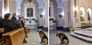 Svaki dan nakon Marijine smrti njezin pas odlazi u crkvu