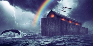 Koliko je ljudi bilo na Noinoj arci?