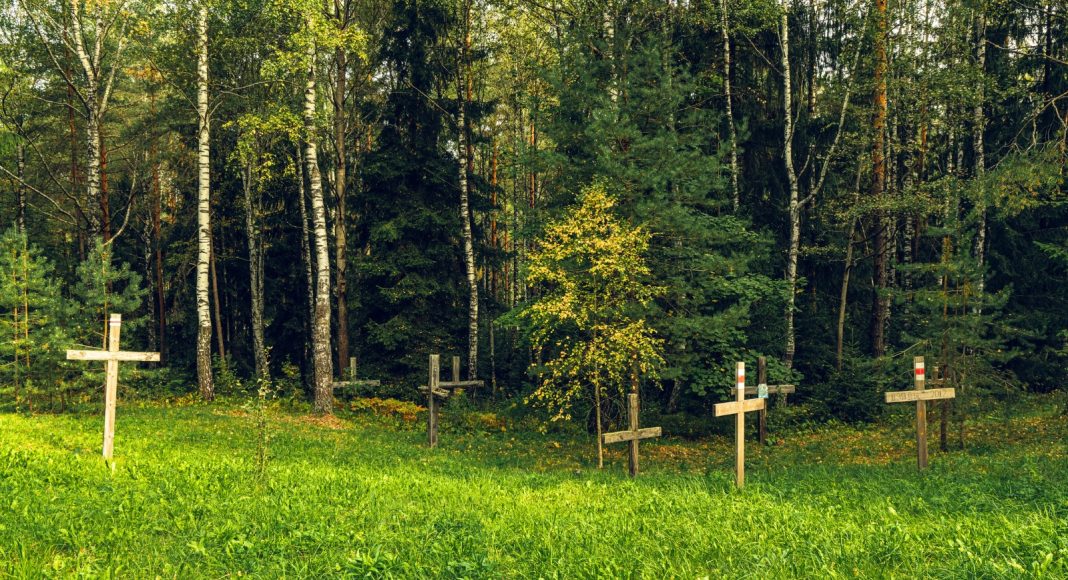 Žena slučajno pronašla masovnu grobnicu s ostacima 150 beba