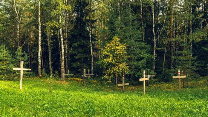 Žena slučajno pronašla masovnu grobnicu s ostacima 150 beba